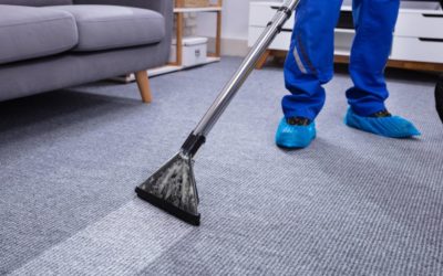 3 Reasons to Schedule a Carpet Cleaning