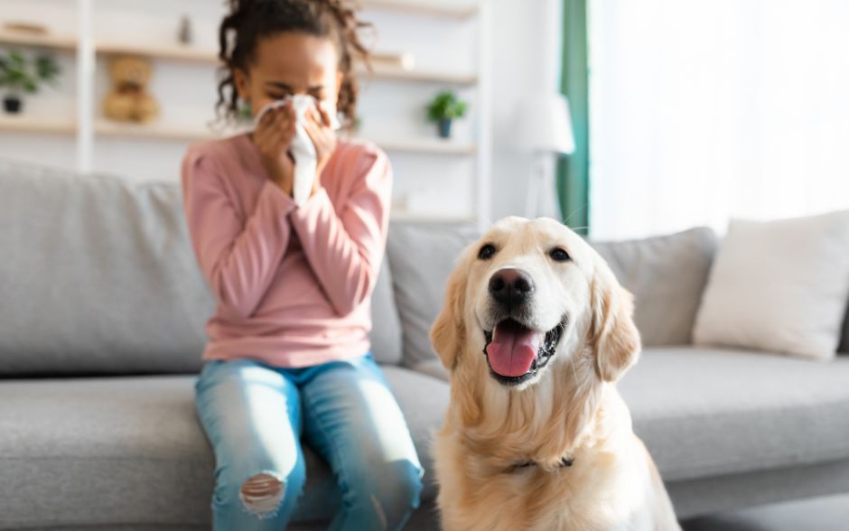 Summer Allergens: How to Combat Dust, Pollen, and Pet Dander in Your Home